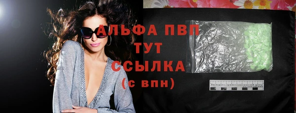 индика Бронницы
