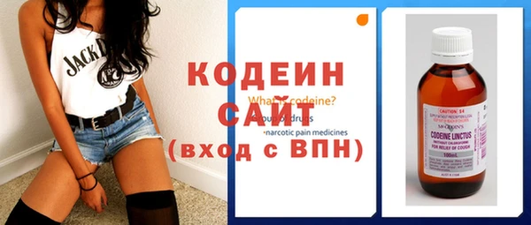 прущие грибы Богданович