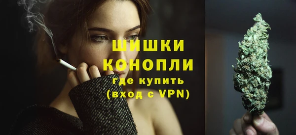 прущие грибы Богданович