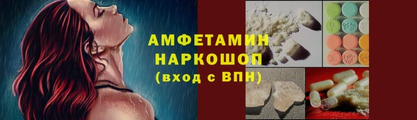 прущие грибы Богданович