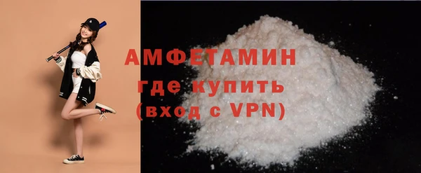 прущие грибы Богданович