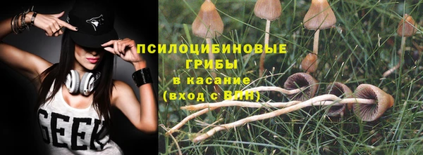 МДПВ Снежинск