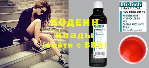 прущие грибы Богданович