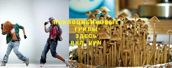 PSILOCYBIN Бугульма