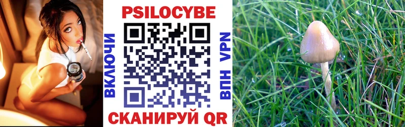 Псилоцибиновые грибы Psilocybe  Северо-Курильск 